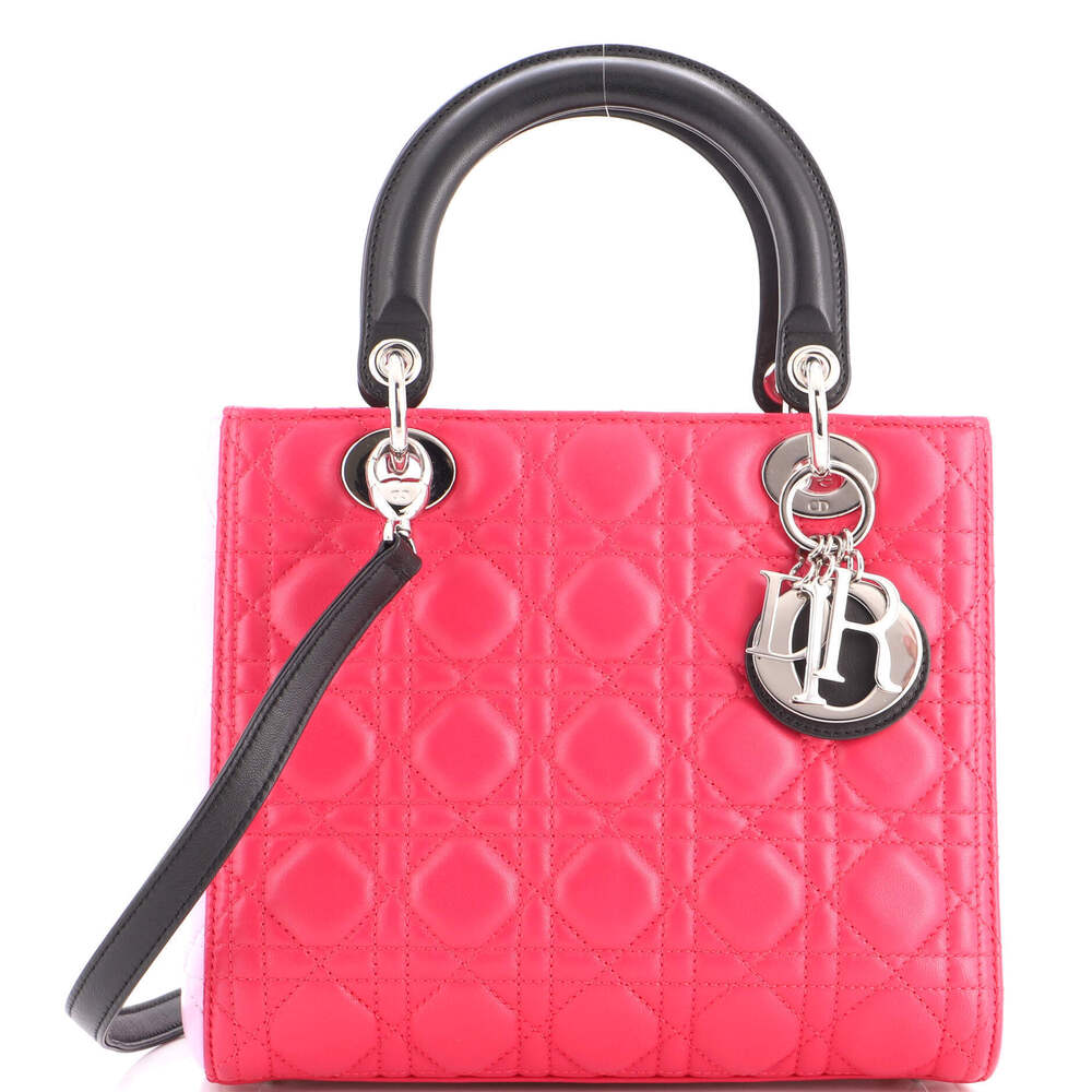 Christian Dior Medium Tricolor Lady Dior Bag